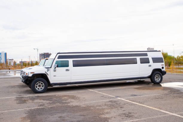 Delta Terminal Logan Limo Service